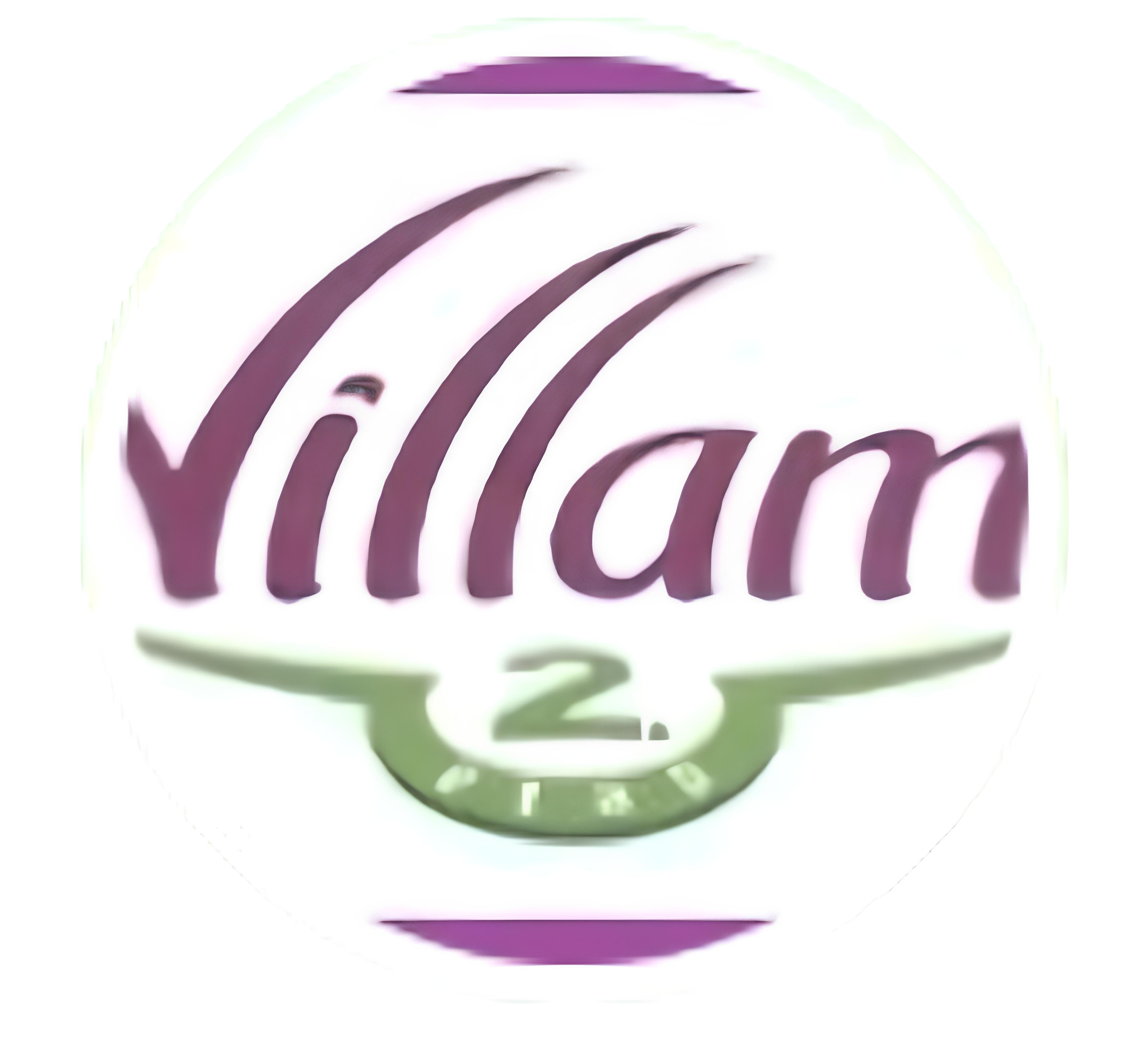 Villam 2 Logo